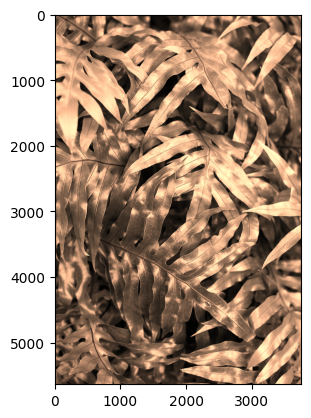 _images/dfab19e1399af5a2af338cc670c34aa4d9dcc4c3addf99b4c42eef3737fc0f6a.png