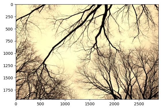 _images/a32b23907592ab33a3e65c7637759c41154371942bddead679bae96db4fd9ee8.png